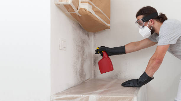 Professional Mold Removal technician working in Brookside, NJ